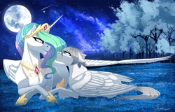 Size: 2560x1638 | Tagged: artist needed, source needed, safe, princess celestia, oc, oc:light knight, alicorn, pegasus, pony, canon x oc, female, forest, lightestia, looking at each other, male, mare, moon, night, shipping, stallion, straight