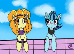 Size: 4140x3000 | Tagged: safe, artist:owlisun, adagio dazzle, sonata dusk, equestria girls, blushing, clothes, cloud, equestria girls ponified, ponified, scarf, sky