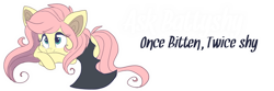 Size: 900x300 | Tagged: safe, artist:indiefoxtail, fluttershy, bat pony, pony, askbattyshy, banner, cute, flutterbat, race swap, shyabetes, solo