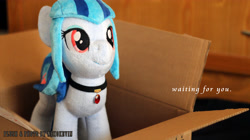 Size: 5184x2912 | Tagged: safe, artist:nekokevin, sonata dusk, pony, box, cardboard box, cute, irl, photo, plushie, ponified, pony in a box, solo, sonatabetes