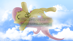 Size: 1920x1080 | Tagged: safe, artist:flutterguy317, artist:penguinsn1fan, derpibooru import, edit, fluttershy, pegasus, pony, goggles, solo, sonic heroes, wallpaper, wallpaper edit, what goes up must come down