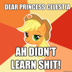 Size: 600x600 | Tagged: safe, applejack, earth pony, pony, the super speedy cider squeezy 6000, accent, advice meme, applejack's hat, cowboy hat, dear princess celestia, exploitable meme, female, hat, i didn't learn anything, impact font, lidded eyes, mare, meme, solo, this will end in tears and/or a journey to the moon, vulgar