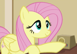 Size: 684x480 | Tagged: safe, screencap, fluttershy, pegasus, pony, viva las pegasus, animated, cute, gif, reaction image, shyabetes, sly, smiling, solo, squee