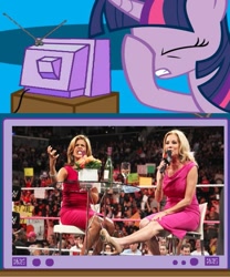 Size: 853x1024 | Tagged: safe, derpibooru import, twilight sparkle, exploitable meme, hoda kotb, kathy lee gifford, meme, obligatory pony, raw, tv meme, wwe