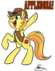 Size: 800x1035 | Tagged: safe, artist:bunnimation, braeburn, earth pony, pony, cowboy hat, male, two toned mane