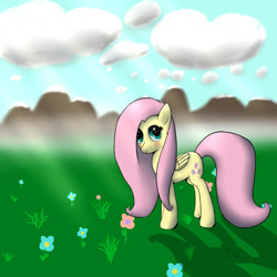 Size: 1000x1000 | Tagged: safe, artist:shaliwolf, fluttershy, pegasus, pony, female, mare, newbie artist training grounds, solo