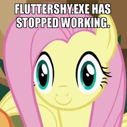 Size: 500x500 | Tagged: safe, edit, edited screencap, screencap, fluttershy, pegasus, pony, viva las pegasus, caption, cropped, las pegasus stare, meme, thousand yard stare, x.exe stopped working