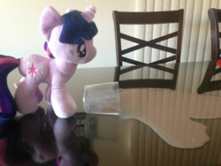 Size: 1024x768 | Tagged: safe, derpibooru import, twilight sparkle, 4de, chocolate milk, everything is ruined, irl, meme, photo, plushie, pure unfiltered evil, some men just want to watch the world burn, spill, spilled milk