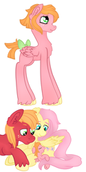 Size: 2044x4092 | Tagged: safe, artist:bewarethemusicman, big macintosh, fluttershy, oc, oc:little darlin', earth pony, pegasus, pony, fluttermac, male, offspring, parent:big macintosh, parent:fluttershy, parents:fluttermac, shipping, stallion, straight, tail bow