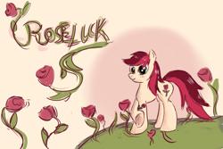 Size: 6000x4000 | Tagged: safe, artist:malamol, roseluck, earth pony, pony, female, mare, rose, solo, two toned mane, white coat