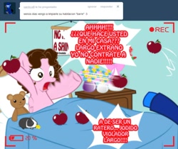 Size: 1236x1039 | Tagged: safe, artist:shinta-girl, oc, oc only, oc:shinta pony, guinea pig, pegasus, pony, :3, apple, ask, bed, eating, flower, food, frown, hoof hold, open mouth, pointing, screaming, spanish, teddy bear, throwing, translated in the description, tumblr, wide eyes