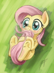 Size: 400x539 | Tagged: safe, artist:zetamad, fluttershy, pegasus, pony, abstract background, blushing, chibi, covering, cute, female, green background, mare, nom, on back, shyabetes, simple background, smiling, solo, tail bite, tail covering, tail hug, underhoof, wingless