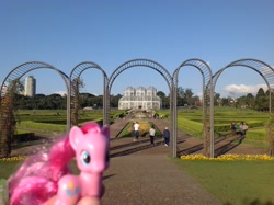 Size: 2592x1936 | Tagged: safe, pinkie pie, brazil, brushable, curitiba, garden, irl, photo, ponies around the world, toy