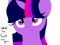 Size: 1600x1200 | Tagged: safe, artist:suenden-hund, derpibooru import, twilight sparkle, solo, vulgar