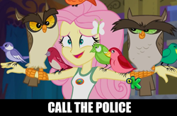 Size: 1280x842 | Tagged: safe, edit, edited screencap, screencap, fluttershy, bird, owl, equestria girls, legend of everfree, call the police, clothes, discovery kids, eyebrows, nervous, outstretched arms, perching, songbird, tanktop