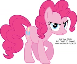 Size: 1225x1024 | Tagged: safe, pinkie pie, earth pony, pony, angry, image macro, meme, vulgar