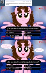 Size: 1236x1963 | Tagged: safe, artist:shinta-girl, oc, oc only, oc:shinta pony, ask, comic, spanish, translated in the description, tumblr, who wants to be a millionare