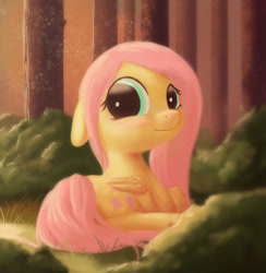 Size: 1053x1080 | Tagged: safe, artist:starblaze25, fluttershy, pegasus, pony, blushing, cute, filly, filly fluttershy, floppy ears, folded wings, forest, frown, hnnng, looking at you, looking back, prone, shy, shyabetes, solo, younger
