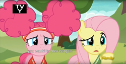 Size: 1920x975 | Tagged: safe, screencap, fluttershy, pinkie pie, pegasus, pony, buckball season, meme, tv-y, youtube caption