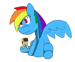 Size: 1200x1000 | Tagged: safe, artist:dark-kisame, derpibooru import, rainbow dash, earth pony, pegasus, pony, giant plushie, plushie, simple background, transparent background