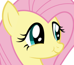 Size: 2580x2262 | Tagged: artist needed, safe, fluttershy, pegasus, pony, viva las pegasus, cute, scrunchy face, shyabetes, simple background, solo, transparent background, vector