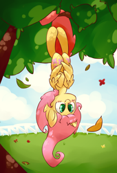 Size: 3204x4721 | Tagged: safe, artist:bloodatius, fluttershy, pegasus, pony, behaving like a bat, cute, hanging, prehensile tail, shyabetes, solo, tree, upside down