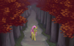 Size: 1280x800 | Tagged: safe, artist:chef j, fluttershy, pegasus, pony, autumn, folded wings, forest, looking up, raised hoof, solo, walking