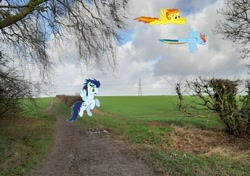 Size: 1280x900 | Tagged: safe, artist:lonelywoodenmice81, artist:s-class-destroyer, artist:stabzor, artist:teentrunks4, derpibooru import, rainbow dash, soarin', spitfire, pony, wonderbolts academy, backwards cutie mark, countryside, field, flying, irl, photo, ponies in real life, pylon, tree, wrong cutie mark