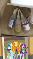 Size: 3023x5386 | Tagged: safe, screencap, adagio dazzle, aria blaze, sonata dusk, equestria girls, rainbow rocks, cleaning product, real, spray bottle, the dazzlings