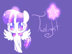 Size: 1024x768 | Tagged: safe, artist:le-poofe, derpibooru import, twilight sparkle, twilight sparkle (alicorn), alicorn, pony, female, mare, solo