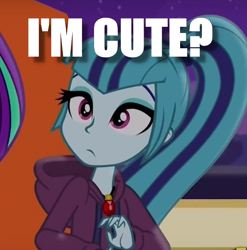 Size: 554x560 | Tagged: safe, sonata dusk, equestria girls, bronybait, cute, image macro, meme, question, sonatabetes