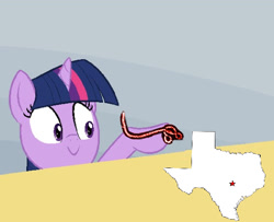 Size: 550x446 | Tagged: safe, derpibooru import, twilight sparkle, twilight sparkle (alicorn), alicorn, pony, ebola, female, mare, meme, solo, texas