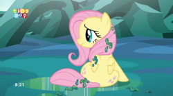 Size: 1426x801 | Tagged: safe, screencap, fluttershy, pegasus, pony, to where and back again, back, both cutie marks, changeling slime, cute, female, mare, plot, shyabetes, sitting, slime, solo