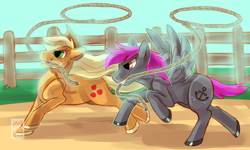 Size: 1500x900 | Tagged: safe, artist:candychameleon, applejack, oc, oc:crash dive, earth pony, pegasus, pony, competition, corral, galloping, lasso