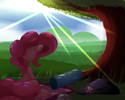 Size: 2500x2000 | Tagged: safe, artist:madacon, pinkie pie, earth pony, pony, atg 2016, blanket, cloud, crepuscular rays, female, mare, newbie artist training grounds, party cannon, rear view, rock, shade, sitting, sky, solo, sun, tree, wrench