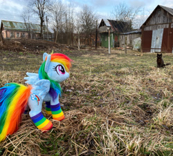 Size: 3348x3024 | Tagged: safe, artist:epicrainbowcrafts, derpibooru import, rainbow dash, cat, clothes, irl, photo, plushie, rainbow socks, russia, socks, solo, striped socks