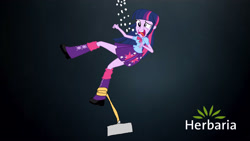 Size: 1920x1080 | Tagged: safe, derpibooru import, twilight sparkle, equestria girls, advertisement, commercial, herbaria