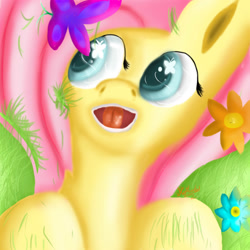 Size: 2000x2000 | Tagged: safe, artist:xskytheartist, fluttershy, pegasus, pony, female, mare, pink mane, solo, yellow coat