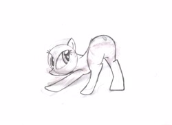 Size: 3510x2550 | Tagged: safe, derpibooru import, twilight sparkle, featureless crotch, looking back, pencil drawing, plot, traditional art, wip