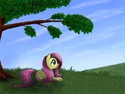 Size: 1600x1200 | Tagged: safe, artist:pony-stark, fluttershy, pegasus, pony, cloud, female, folded wings, grass, looking away, mare, meadow, outdoors, profile, prone, relaxing, sky, smiling, solo, tree, under the tree