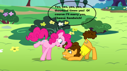 Size: 1280x720 | Tagged: safe, edit, edited screencap, screencap, cheese sandwich, pinkie pie, earth pony, pony, pinkie pride, cheesepie, engagement, male, shipping, straight