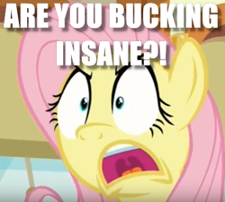 Size: 481x433 | Tagged: safe, edit, edited screencap, screencap, fluttershy, pegasus, pony, buckball season, angry, flutterrage, image macro, meme, solo, yelling