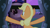 Size: 1280x720 | Tagged: safe, applejack, earth pony, pony, curtains, nico nico douga, twidayo, window