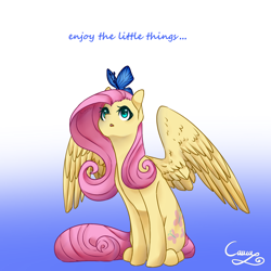 Size: 1500x1500 | Tagged: safe, artist:sugarponypie, fluttershy, butterfly, pegasus, pony, gradient background, looking up, sitting, solo, spread wings