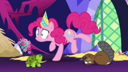 Size: 1280x720 | Tagged: safe, screencap, pinkie pie, beaver, earth pony, pony, tortoise, turtle, castle sweet castle, hat, party hat