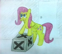 Size: 1645x1440 | Tagged: safe, artist:pawnypawnstar, fluttershy, pegasus, pony, box, simple background, solo, traditional art