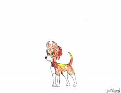 Size: 3282x2506 | Tagged: safe, artist:endlesswire94, applejack, dog, appledog, beagle, dogified, species swap, traditional art