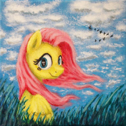 Size: 638x638 | Tagged: safe, artist:horseez, fluttershy, pegasus, pony, acrylic painting, color correction, cropped, grass, head turn, looking at you, sitting, sky, solo, traditional art, windswept mane