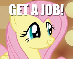 Size: 570x462 | Tagged: safe, edit, edited screencap, screencap, fluttershy, pegasus, pony, viva las pegasus, cropped, get a job, image macro, meme, scrunchy face, smug, solo