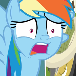Size: 1079x1078 | Tagged: safe, derpibooru import, screencap, rainbow dash, pegasus, pony, daring doubt, cropped, disbelief, faic, female, horrified, mare, open mouth, rainbow dash is best facemaker, say what, shocked, shrunken pupils, solo